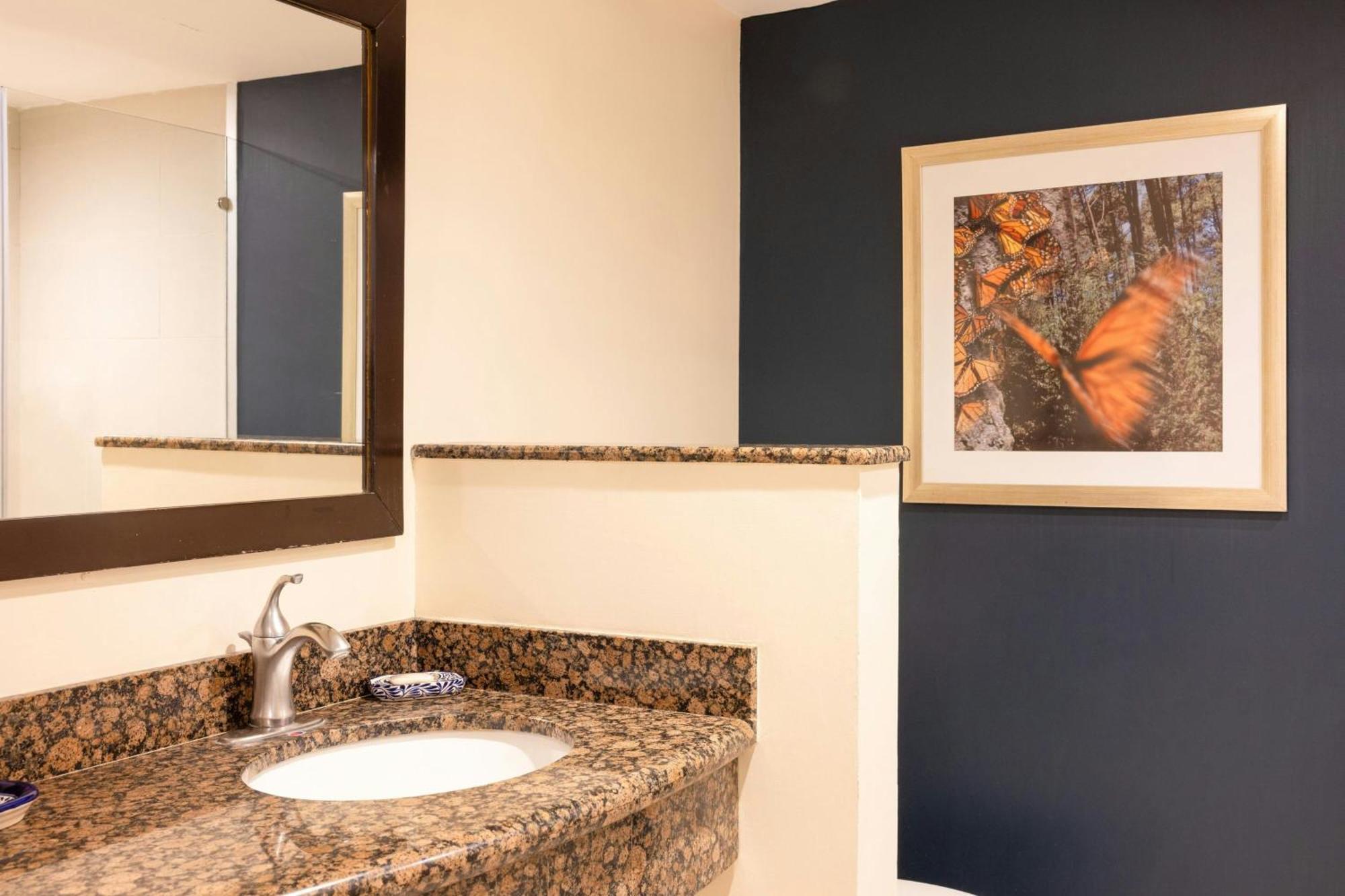 Courtyard Toluca Tollocan Εξωτερικό φωτογραφία
